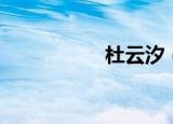 杜云汐（杜云生简介）