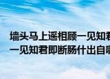 墙头马上遥相顾一见知君即断肠什么意思（墙头马上遥相顾一见知君即断肠什出自哪里）