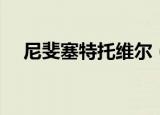 尼斐塞特托维尔（揭开尼斐塞特的秘密）