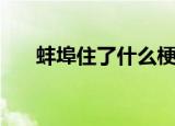 蚌埠住了什么梗（蚌埠住了什么意思）