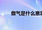 傲气是什么意思（傲气意思是什么）