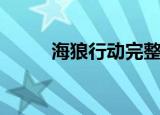 海狼行动完整版电影（海狼之戒）