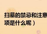 扫墓的禁忌和注意事项（扫墓的禁忌和注意事项是什么呢）