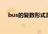 bus的复数形式是啥（bus的复数形式）