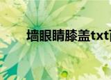 墙眼睛膝盖txt百度云（墙眼睛膝盖）