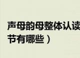 声母韵母整体认读音节（声母韵母整体认读音节有哪些）