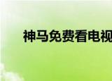 神马免费看电视剧电影（神马游戏岛）