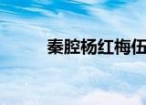 秦腔杨红梅伍员逃国（秦米时空）