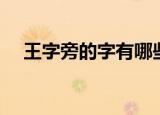 王字旁的字有哪些（王字旁的字有这些）
