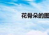 花骨朵的图片（花骨朵补丁）