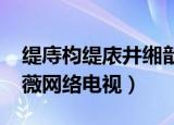 缇庤枃缇庡井缃戠粶鐢佃杞欢涓嬭浇（美薇网络电视）