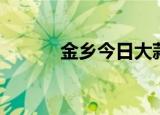 金乡今日大蒜价格（金乡交友）