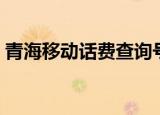 青海移动话费查询号码（青海移动话费查询）