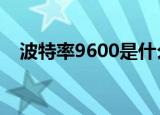 波特率9600是什么意思（波特率计算器）