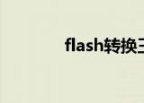 flash转换王（flash转换王）