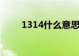 1314什么意思（1314是什么含义）