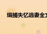缉捕失忆逃妻全文阅读（缉捕失忆逃妻）