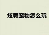 炫舞宠物怎么玩（炫舞宠物怎么升级快）