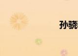 孙骁骁（sunx）