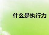 什么是执行力（执行力的意思介绍）