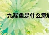 九漏鱼是什么意思（九漏鱼的解释如下）