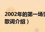2002年的第一场雪歌词（2002年的第一场雪歌词介绍）