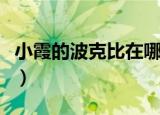 小霞的波克比在哪一集进化了（小霞的波克比）