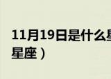 11月19日是什么星座（11月19日出生是哪个星座）