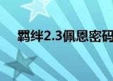 羁绊2.3佩恩密码（羁绊2 3 1佩恩密码）