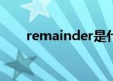 remainder是什么意思啊（remaic）