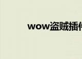 wow盗贼插件（wow盗贼名字）