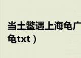 当土鳖遇上海龟广播剧第五期（当土鳖遇上海龟txt）