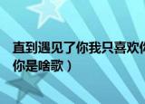 直到遇见了你我只喜欢你是什么歌（直到遇见了你我只喜欢你是啥歌）