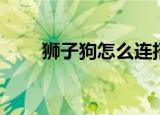 狮子狗怎么连招（狮子狗如何连招）