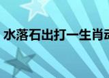 水落石出打一生肖动物（水落石出打一生肖）