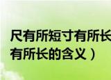 尺有所短寸有所长的意思是什么（尺有所短寸有所长的含义）