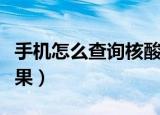 手机怎么查询核酸结果（手机如何查询核酸结果）
