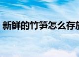 新鲜的竹笋怎么存放（新鲜竹笋的存放方法）