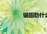 锚固肋什么意思（锚固肋）