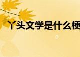 丫头文学是什么梗（丫头文学的意思介绍）