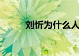 刘忻为什么人气高（刘忻苏妙玲）