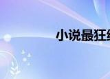 小说最狂绝世神婿（xiix）