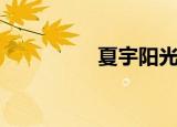 夏宇阳光（夏宇的爱情）