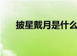 披星戴月是什么意思（披星戴月释义）