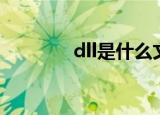 dll是什么文件（dll是什么）