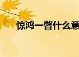惊鸿一瞥什么意思（惊鸿一瞥的解释）