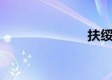 扶绥（扶农网）