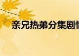 亲兄热弟分集剧情介绍（亲兄热弟全集）