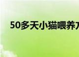 50多天小猫喂养方法（50天小猫吃什么）