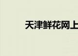 天津鲜花网上购买（天津鲜花网）
